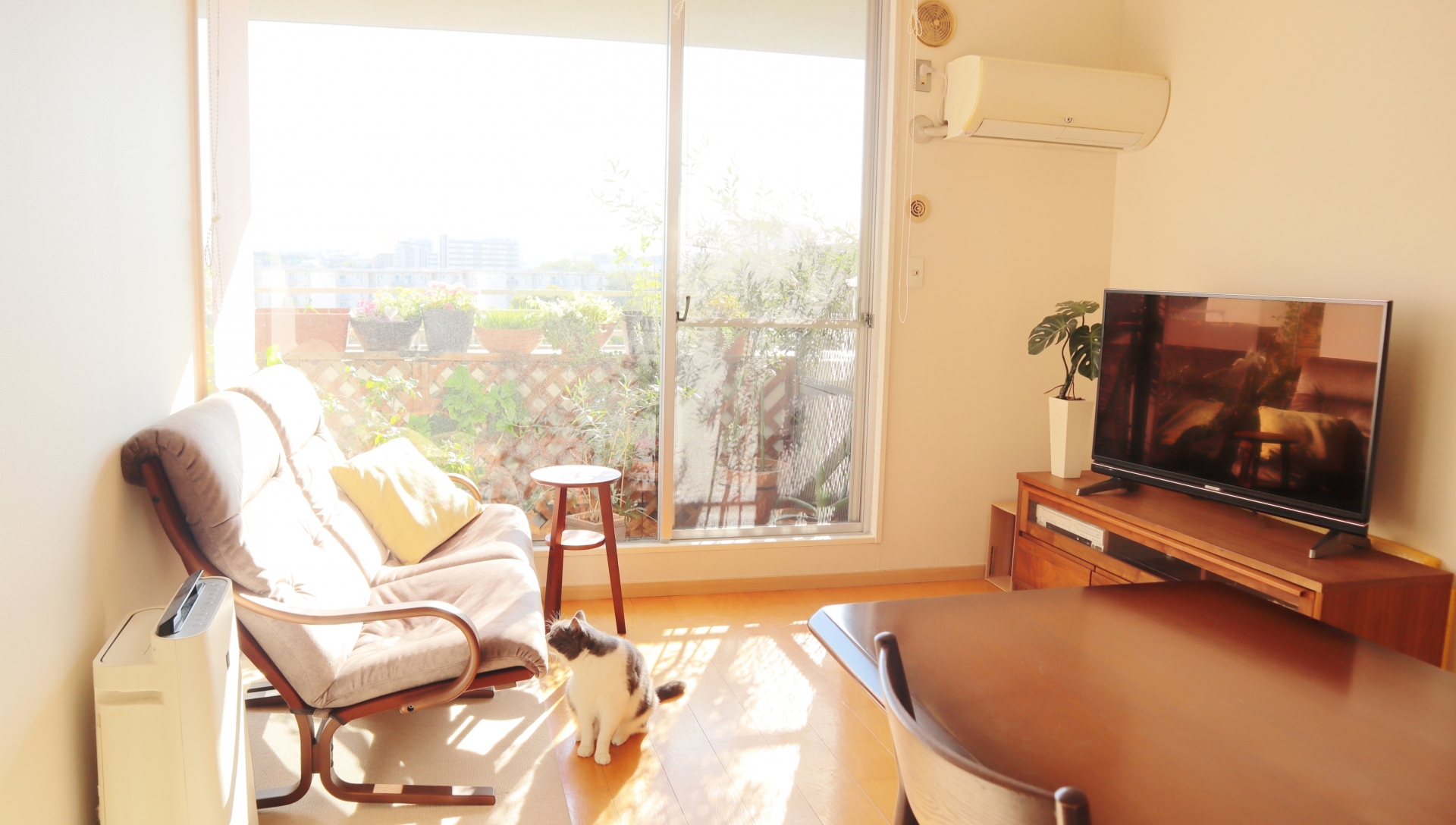 リビングルーム