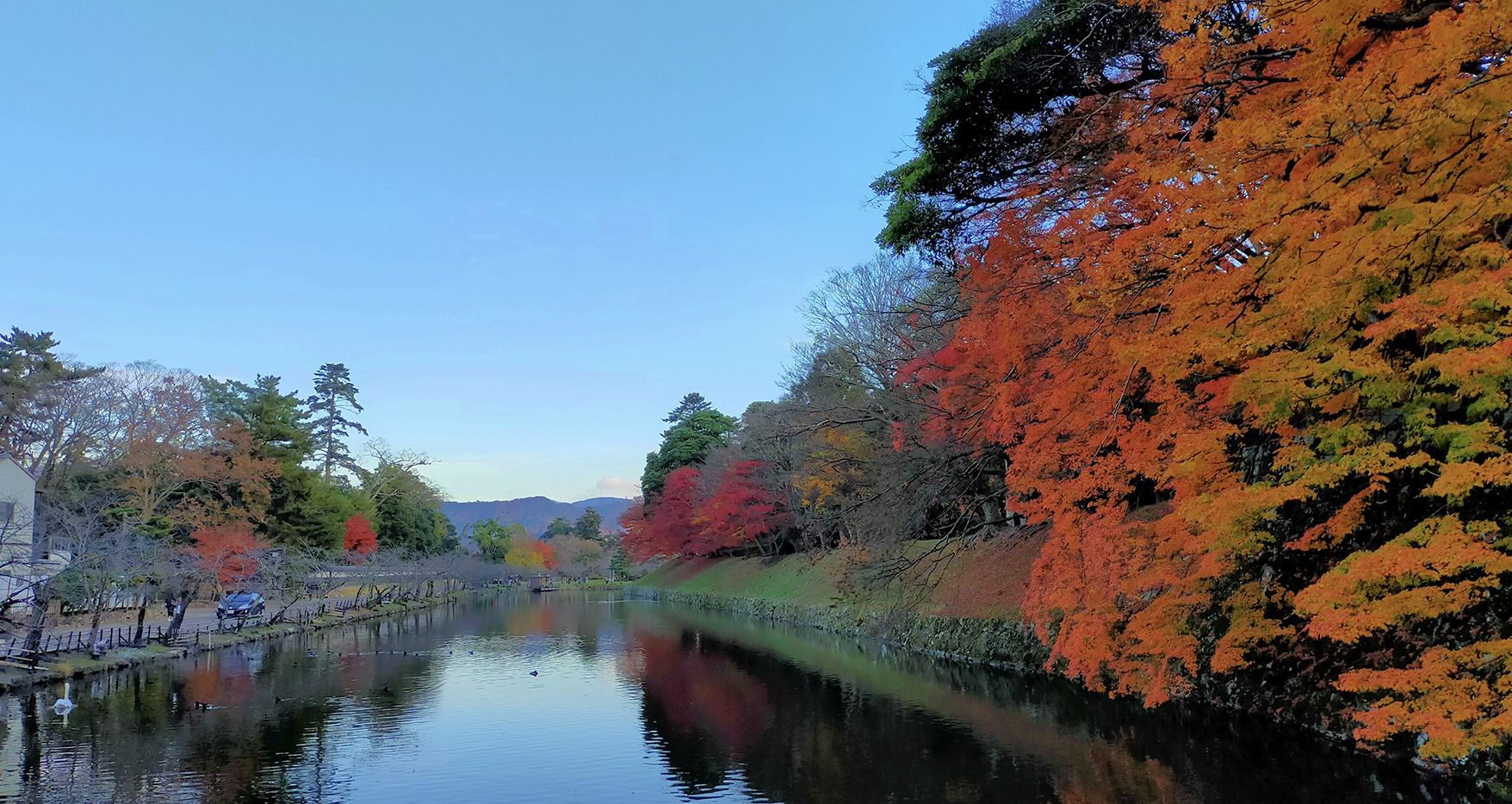 彦根城外堀紅葉